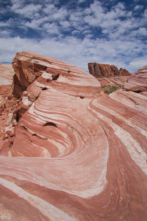 The Fire Wave at Valley of Fire State Park, Nevada - an hour north of Las Vegas.  Chock full of incr