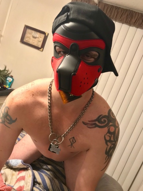 pupbull:  Netflix and bone? porn pictures