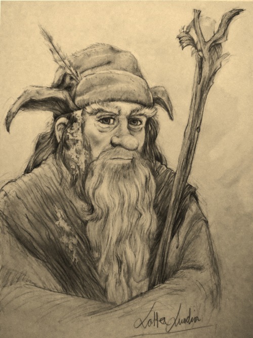 Radagast the Brown from the movie The Hobbit.Made with graphite pen.
