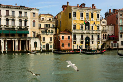 vacilandoelmundo:  Grand Canal, Venice, Italy