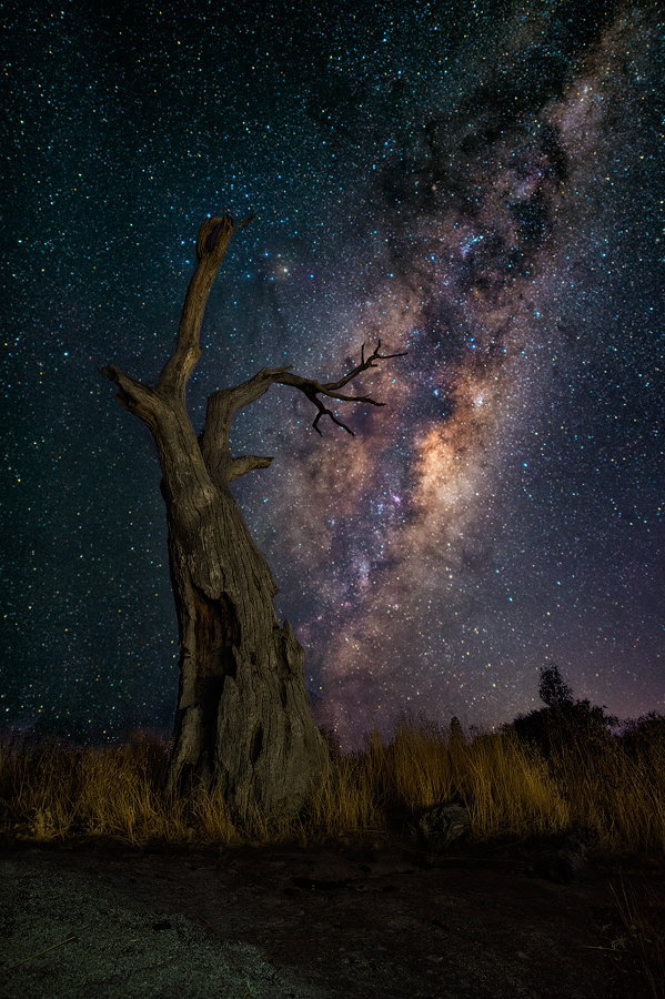 imickeyd:  *** by Lincoln Harrison