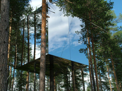 wattthefisk:  Tree houses that put our ordinary homes to shame. A mixture of classic and modern tree houses that make you question where you live. 