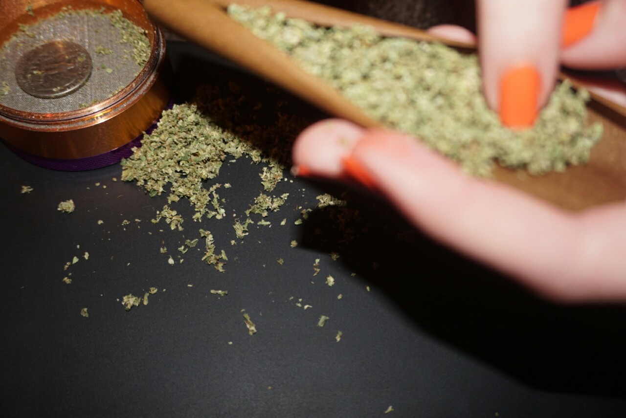 mice-teeth:  3 gram halloween blunt