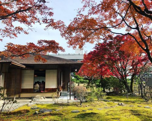 ＼おにわさん更新情報／ ‪[ 京都市左京区 ] 国立京都国際会館庭園 Kyoto International Conference Center Garden, Kyoto の写真・記事を更新しました
