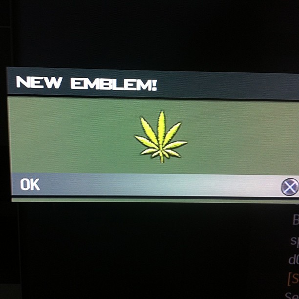 the-last-original:  Finally got the pot leaf emblem. #MW3 #PS3 #DominoEffect #Finally
