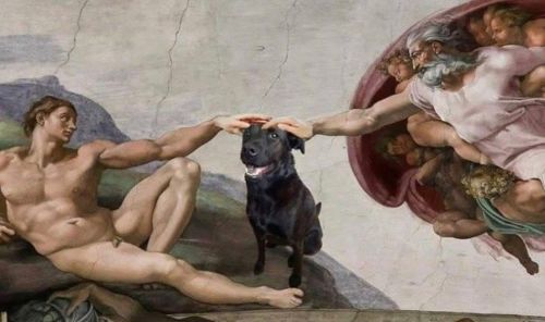classicalshits:  pet the doggo 🥰 @classicalartshits