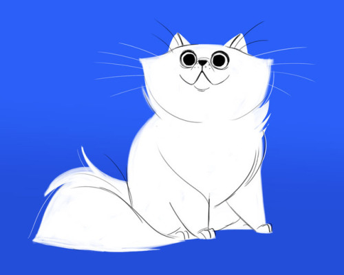 dailycatdrawings: 669: Persian Kitty