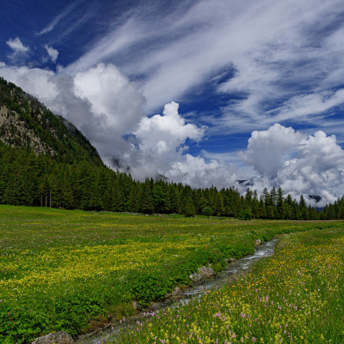 Calm stream cutting thorough the valley - Tour du Mont Blanc, June 2019photo by nature-hiking