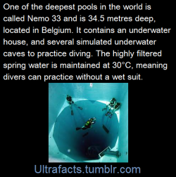 ultrafacts:     Source Follow Ultrafacts