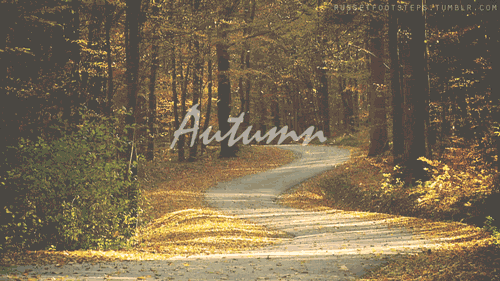 francinesplace:  the-more-u-know:  Don’t you just love Autumn? Whats your favorite thing about the fall?  You just made my afternoon! Thank you! 