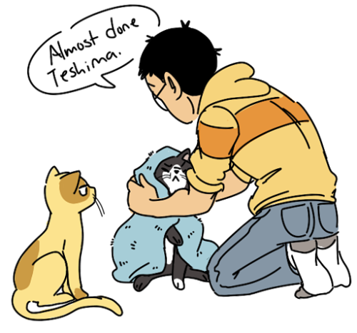 khajidont: fluffy teshima is so important to me