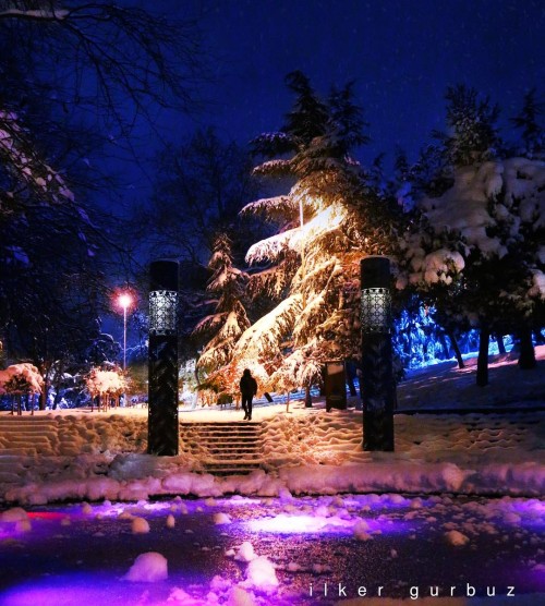 WINTER ON THE PARK #winternight #walkingpath #snow #snowflake #lonely #wind #citypark #like #ourdoor