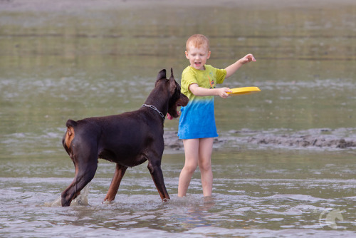 Doro, Luca und RomeroVor ein paar Monaten hab ich überlegt, was für Bilder mir so gefallen und was ich in diesem Jahr gern an neuen Dingen ausprobieren möchte. Es gibt ein paar Fotografen, die wunderschöne Kinder/Hundefotos machen… Meine Gedanken...