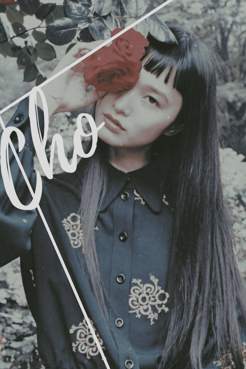 spooky-nymphadorcas: ⇢ C H O  C H A N G  “She’s quite good-looking and all tha