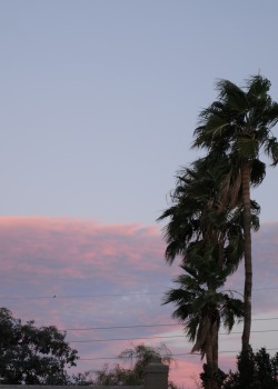 These are a little strange for a desert southwest sunset, in the fact that this is the eastern sky.