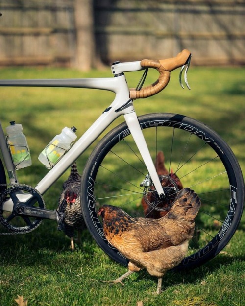 hizokucycles: #Repost from @eastoncycling - Home grown. Like our carbon EC90 SL cranks, the @alliedc