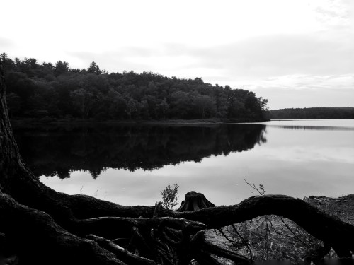   Ready for Autumn. I want my jackets out of the closet and hot coffee and dreary, overcast days.  