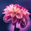 silentdreamerchick-blog
