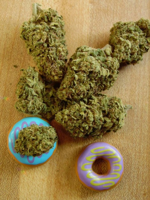 smoketogethighcustheworldissolow:  So i heard ya’ll like doughnuts? 