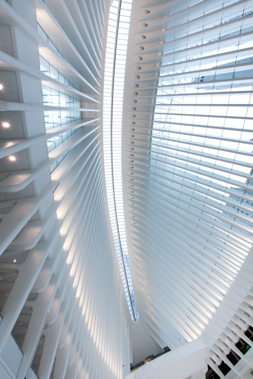 iheartmyart: Architect Santiago Calatrava’s World Trade Center Transportation Hub aka the