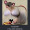 mousemilf: