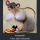 Porn Pics mousemilf:i think the aesthetic echo chamber