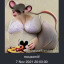 mousemilf: