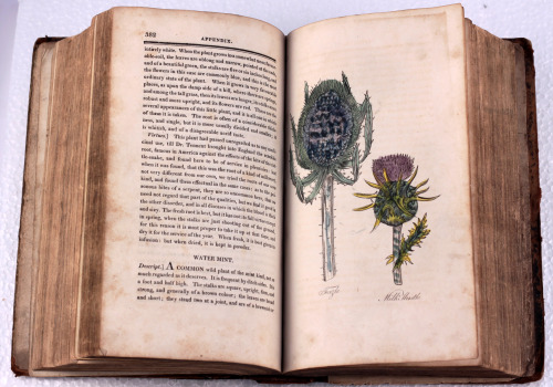 michaelmoonsbookshop:worn early 19th century Herbal with 50 hand coloured engraved plates Printed in