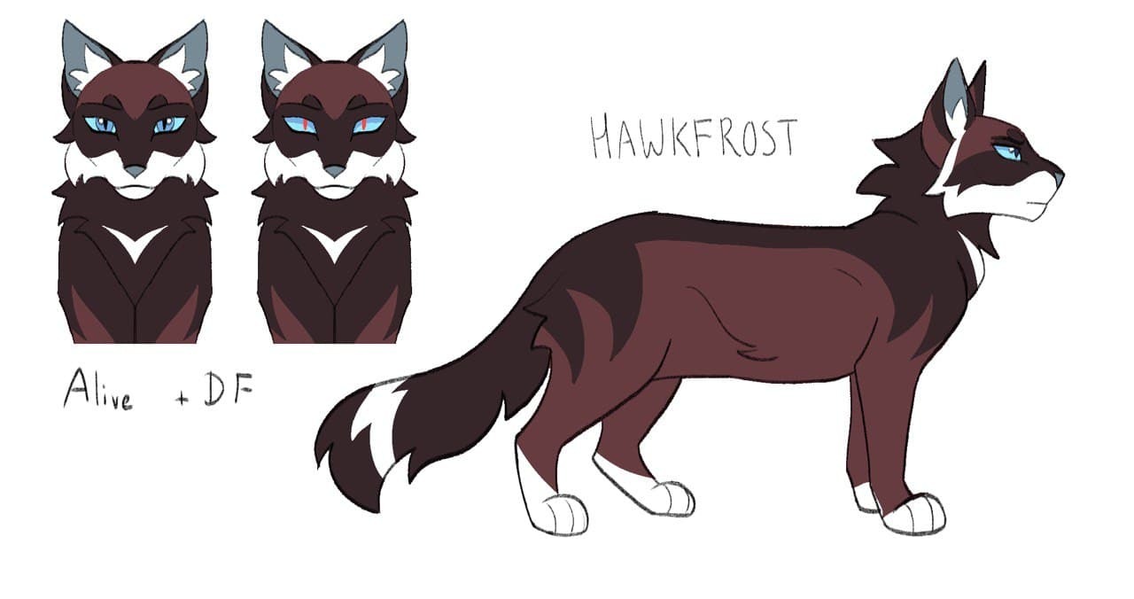 3. "Hawkfrost with Blue Hair" by Pinterest - wide 1