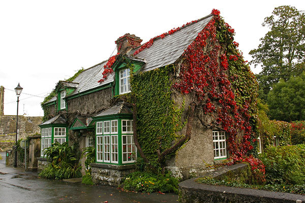 bonitavista:  Ireland photo via marissa 
