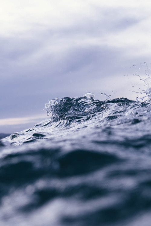 Snapper Rocks www.noaddedlight.com / Instagram @kalle.lundholm