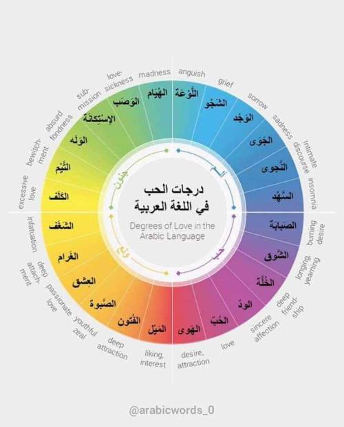 مما راق لي درجات الح ب في اللغة العربية الهوى