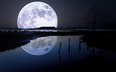 A Drop Of Moonlight