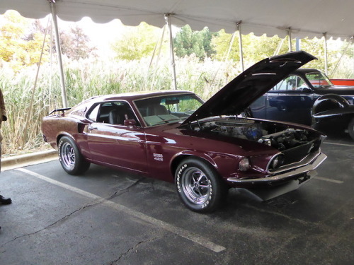fromcruise-instoconcours: ‘69 Boss 429 Mustang with the engine bored out to 521 cubes