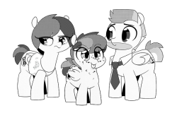 deltaveesjunkyard:Manga ponyos, based on