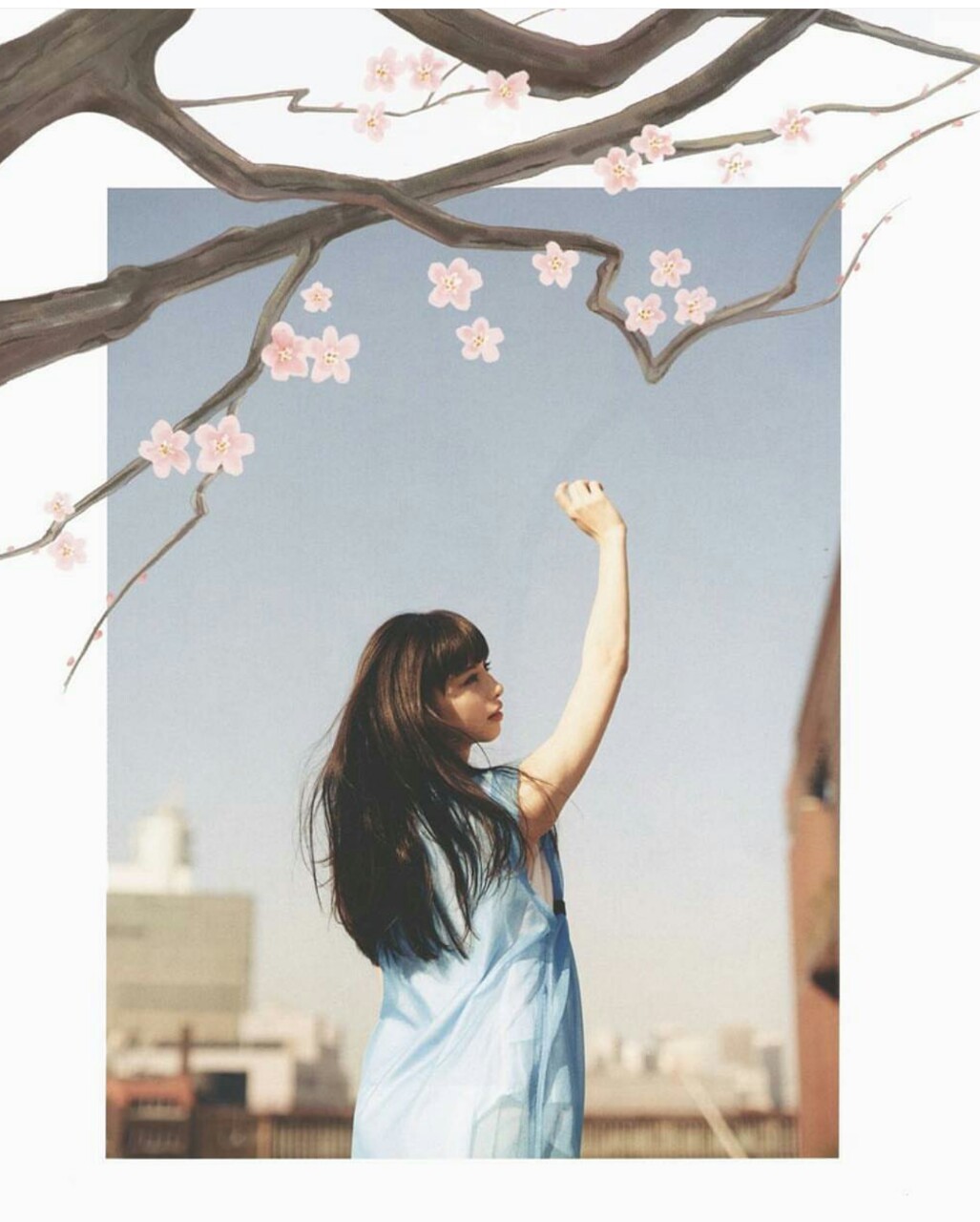sarudasaru:Ayami nakajo
