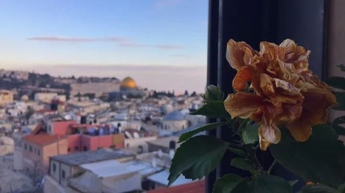 alixanasworld: Jerusalem - the eternal capital of Palestine