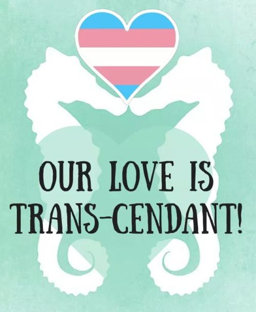 ithelpstodream:  LGBT Valentine’s Day Cards 