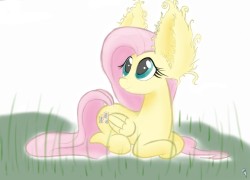 cocoa-bean-loves-fluttershy:  From this post by finalskies Eee~! Dem ears~! X3  Eeee! &lt;3