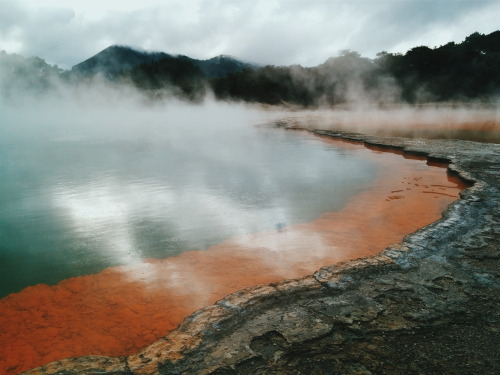 aratrikag05: Champagne Pool, Waiotapu Geothermal Field. Near Rotorua, New Zealand. We went here for 