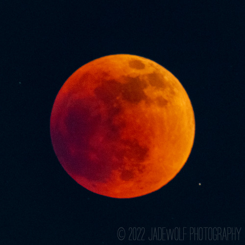 jadewolf-photography:Blood MoonLunar Eclipse - May 2022