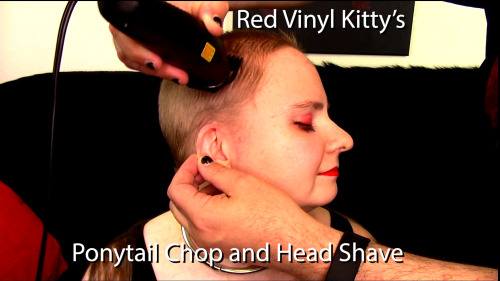 mecha-red-vinyl-kitty: Master Pravus cut my ponytail and then shaved my head. You can buy a copy of 