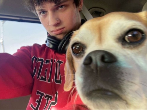 Why Do They Look Alike