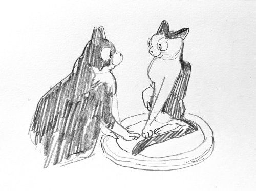 connordraws:drawings of my cat(s) (1)