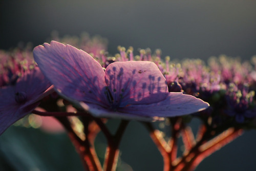 kaitlinmccluskeyphoto: I know it’s not perfect but I love this photo Follow me: instagr