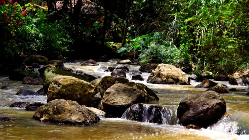 parque gallineralsan gilcolombia