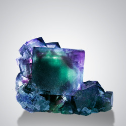 hematitehearts:  FluoriteLocality:   Okoruso Mine, Otjiwarongo