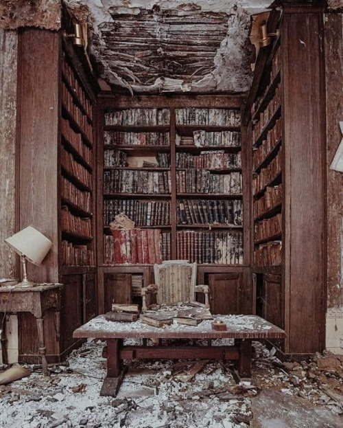 XXX Abandoned library - France Nudes & Noises photo