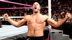 fuckyeahhotdudez:  Antonio Cesaro, WWE Lots