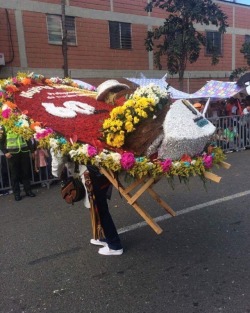 #feriadeflores2017 #desfiledelossilleteros